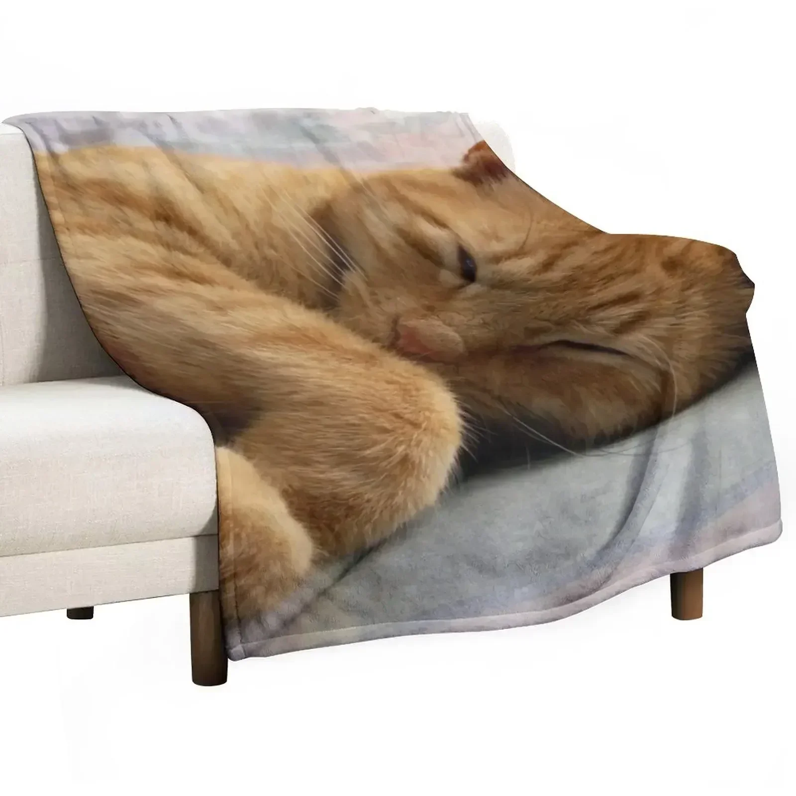 Ginger Cat Sleeping Throw Blanket Single Cute funny gift Thermal warm winter Warm Blankets