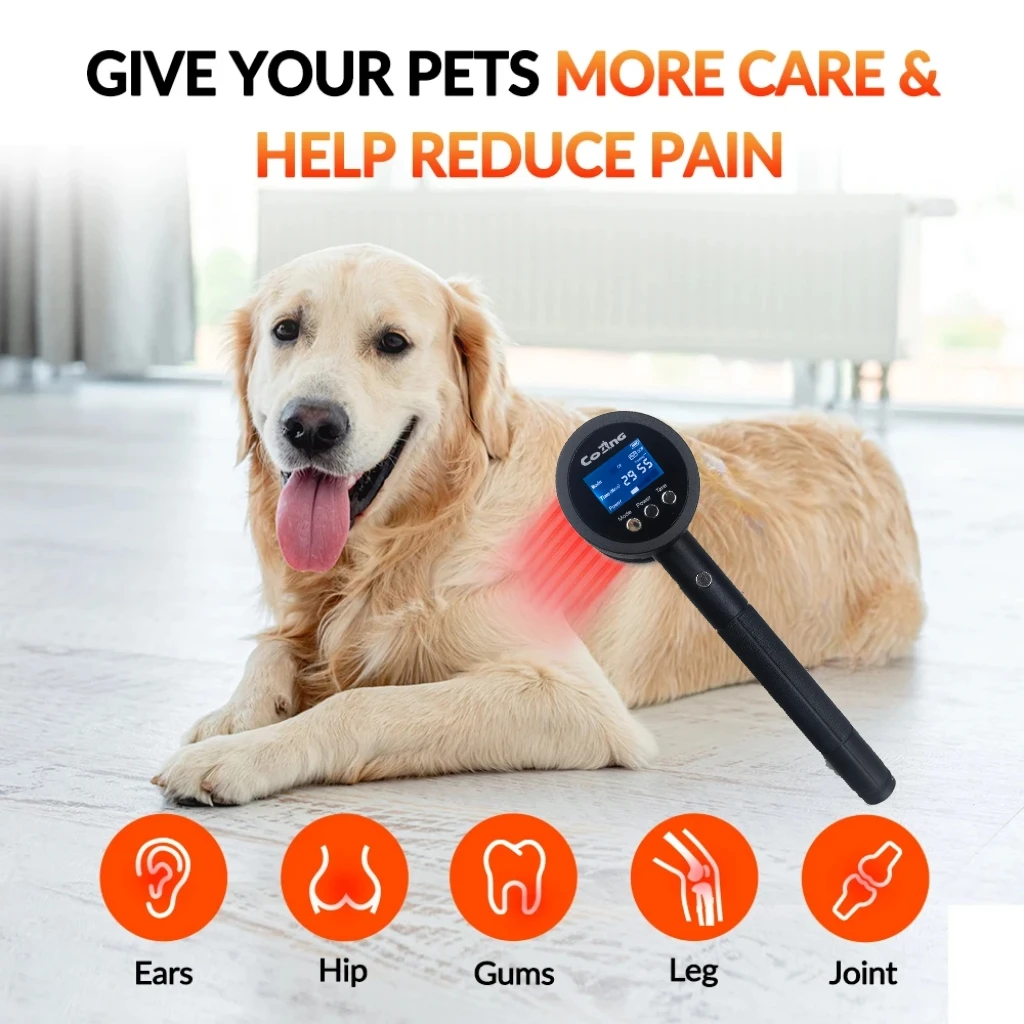 

Ветеринарное лазерное терапевтическое устройство 1295 МВт 650 нм/808 нм для облегчения боли в суставах собак и кошек и заживления ран