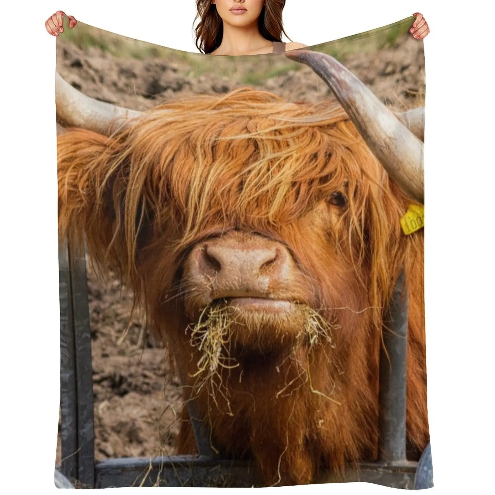

Cute hungry ginger Scottish Highland cow Throw Blanket Custom Bed covers Bed Fashionable Hairy Blankets