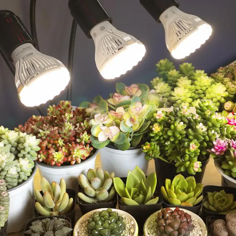 Lampe LED à réinitialisation Complet pour Plante, 1 à 4 Têtes, Éclairage de Croissance Charnu, pour Jardin, Plante Verte d'Nik, Fleur, Spot à Prise