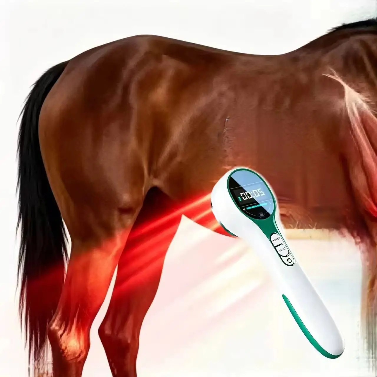 Laser Therapy for Animals 650nm 808nm Infrared Professional Joint Pain Relief & Muscle Tissue Repair Home Use
