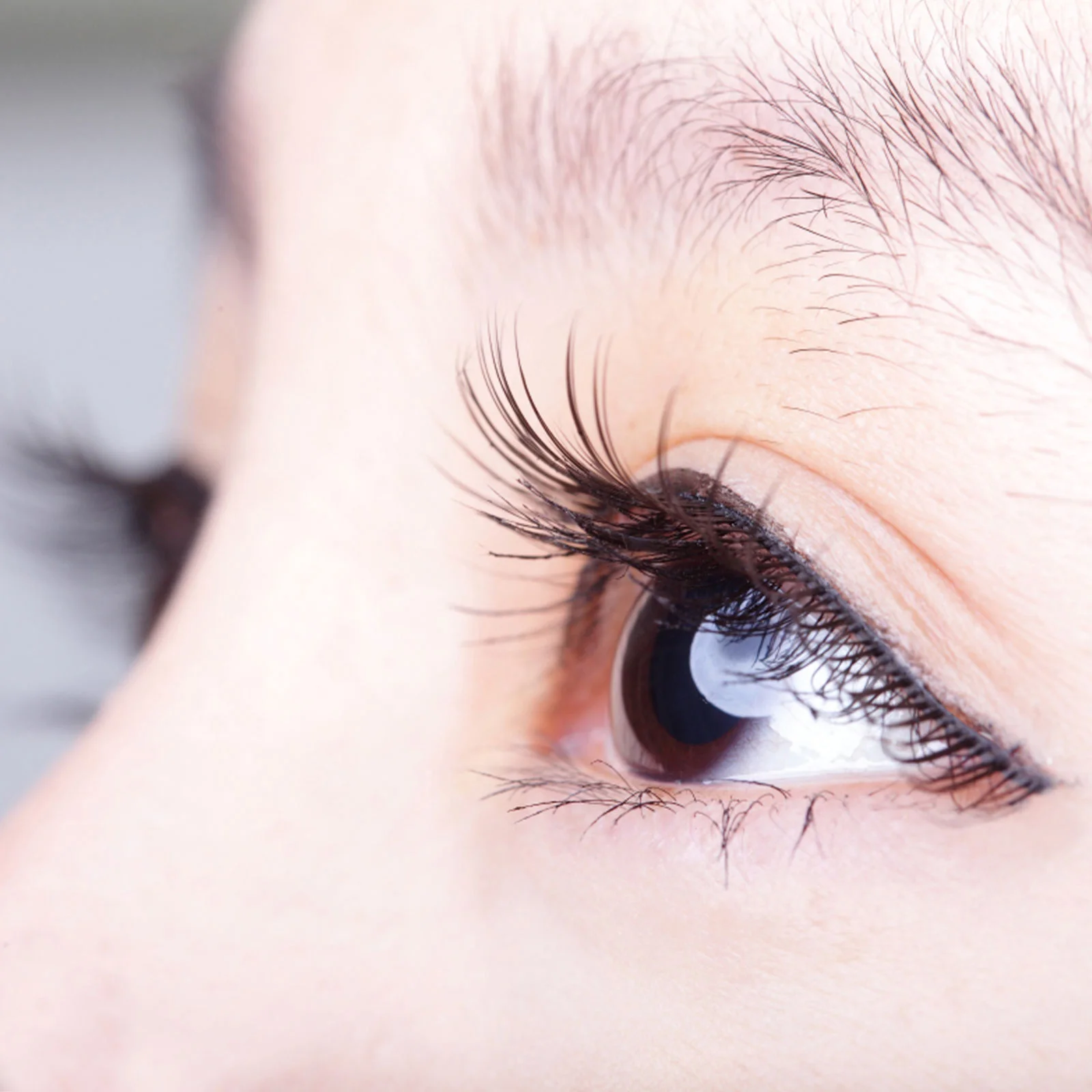 

Eyelashes Natural Lashes Natural Bottom Lash Extensions Long-Lasting For Salon Personal Use False Lower Lashes