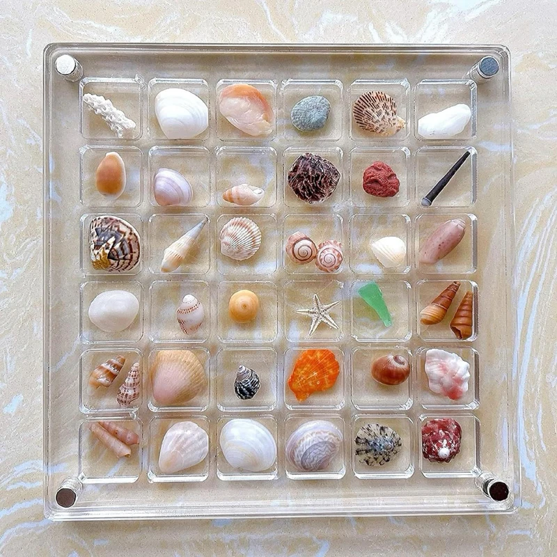 2X Acrylic Square Shell Storage Box Transparent Sea Shell Display Cabinet Magnetic Mini Beach Stone Gemstone Beads Storage Frame