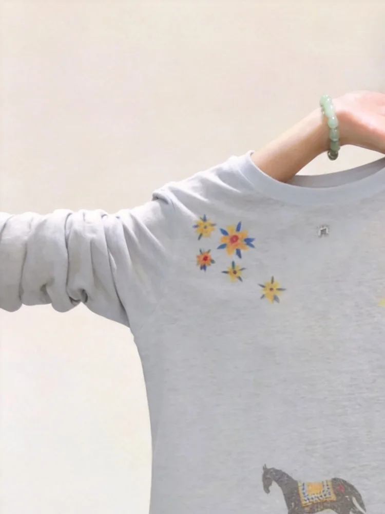 Loose Long Sleeve  Print T-Shirt Women's Korean Style Sun Protection Top Fashionable Casual Wear Summer 2026