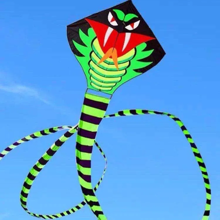 Kite Spring Summer Autumn Grassland Kite Breeze to Fly Children Adult Large Long Tailed Snake Tail Kites Outdoor Fun Sports