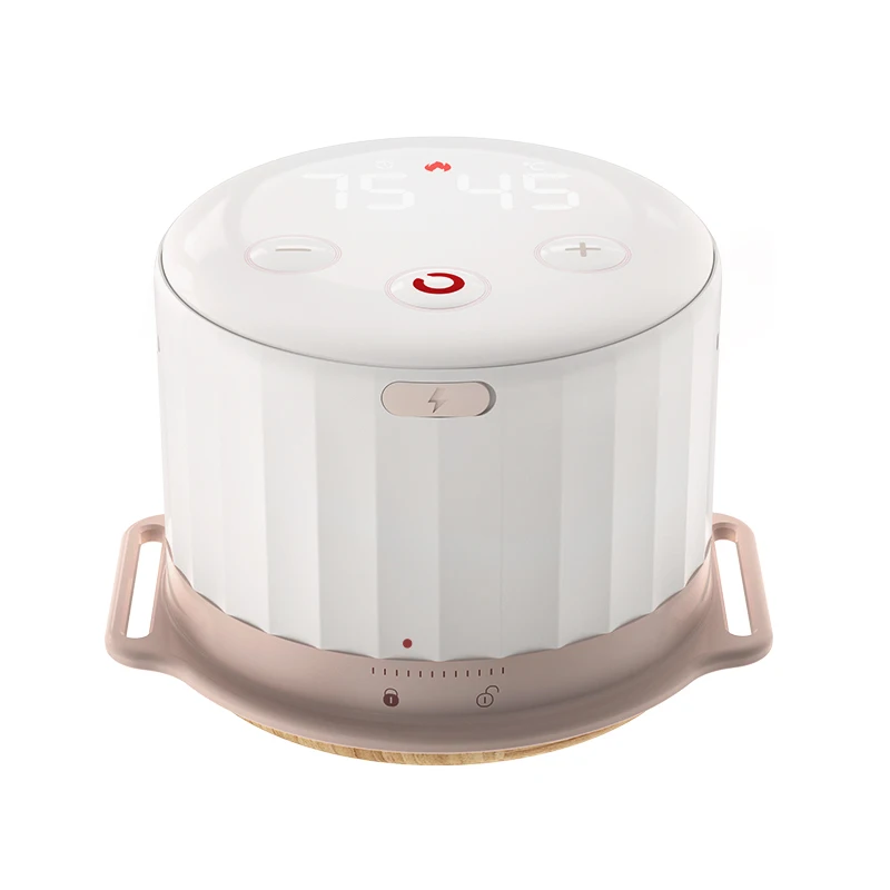 Scatola Moxa per Moxibustione popolare per l'assistenza sanitaria con quattro marce per regolare la temperatura per Moxibustione Stick Moxa