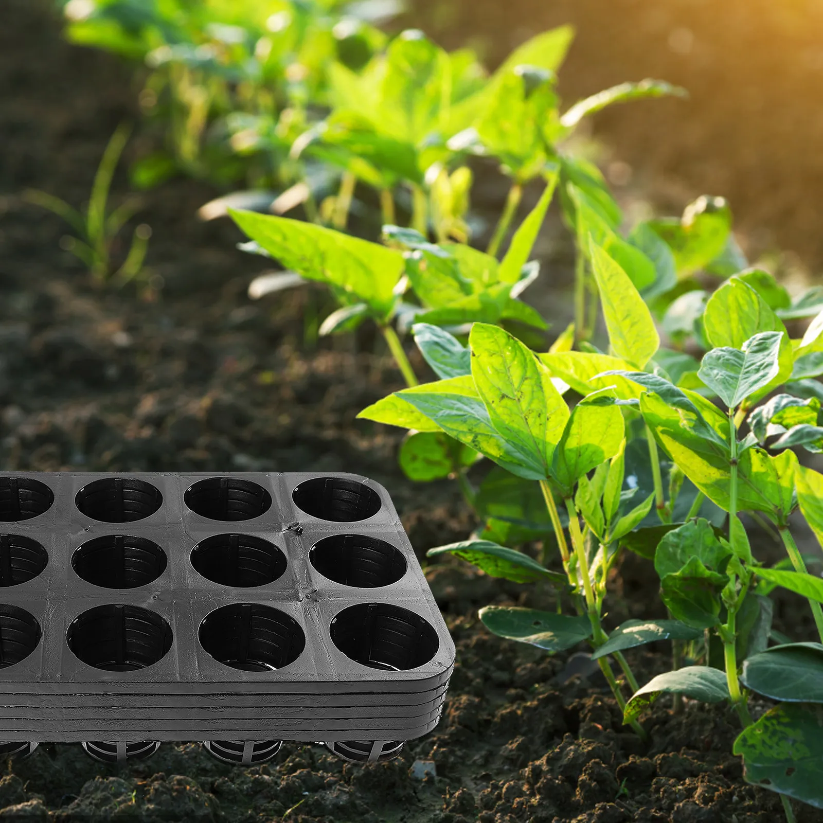 5Pcs 15-Hole Butterfly Orchid Planter Tray Premium Plant Germination Box for Outdoor Gardening Flowers Vegetables