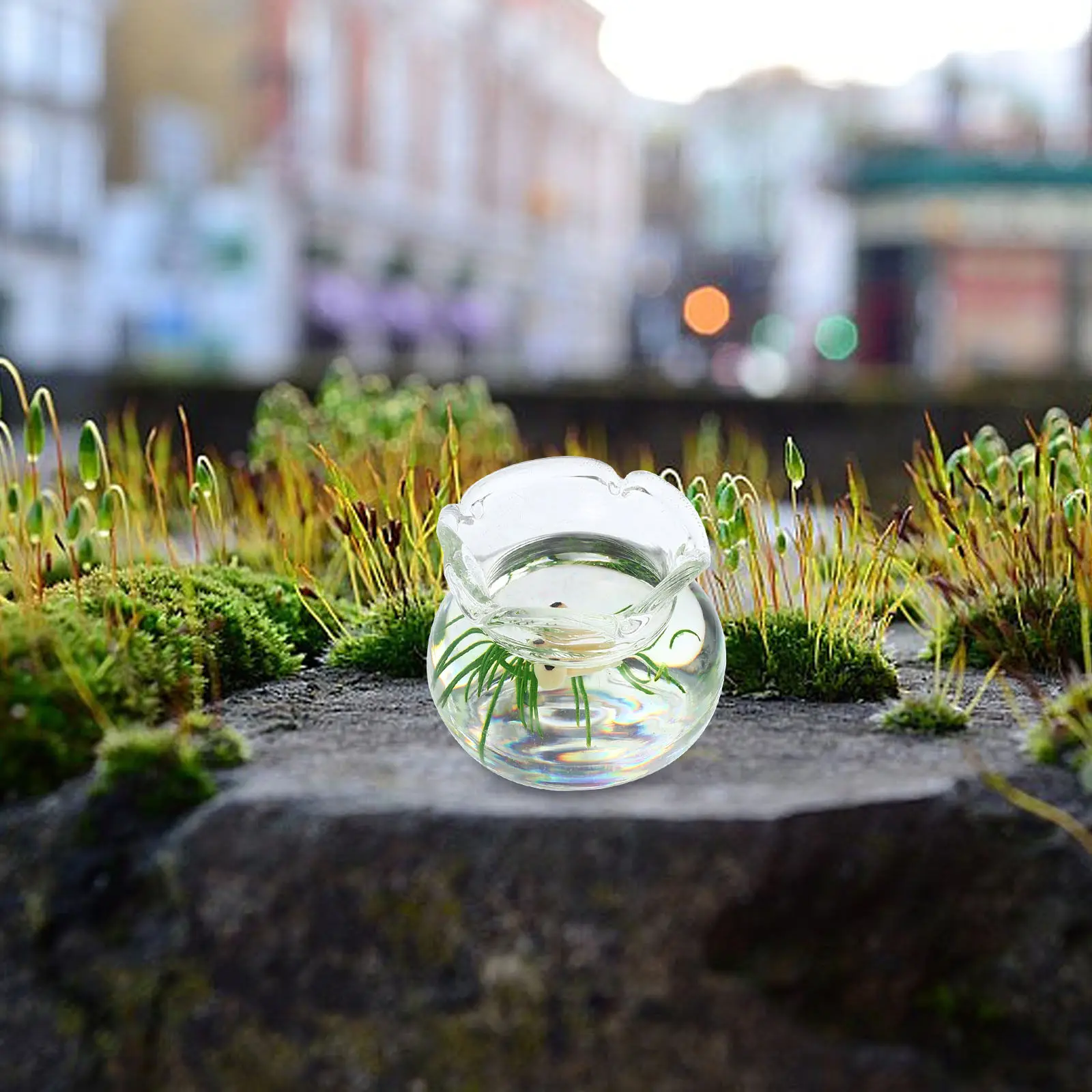 

Miniature Fish Bowl Small Goldfish Tank Mini Aquarium Decor Mini House Ornaments Table Decoration Accessories Small Fish Bowl