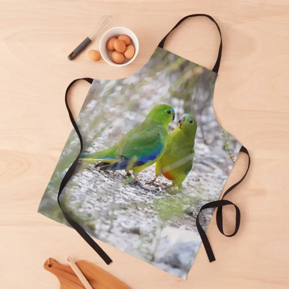 

OBP Photo by P Randall - Apron Manicurists kitchen girl work ladies Kitchen accessories Apron