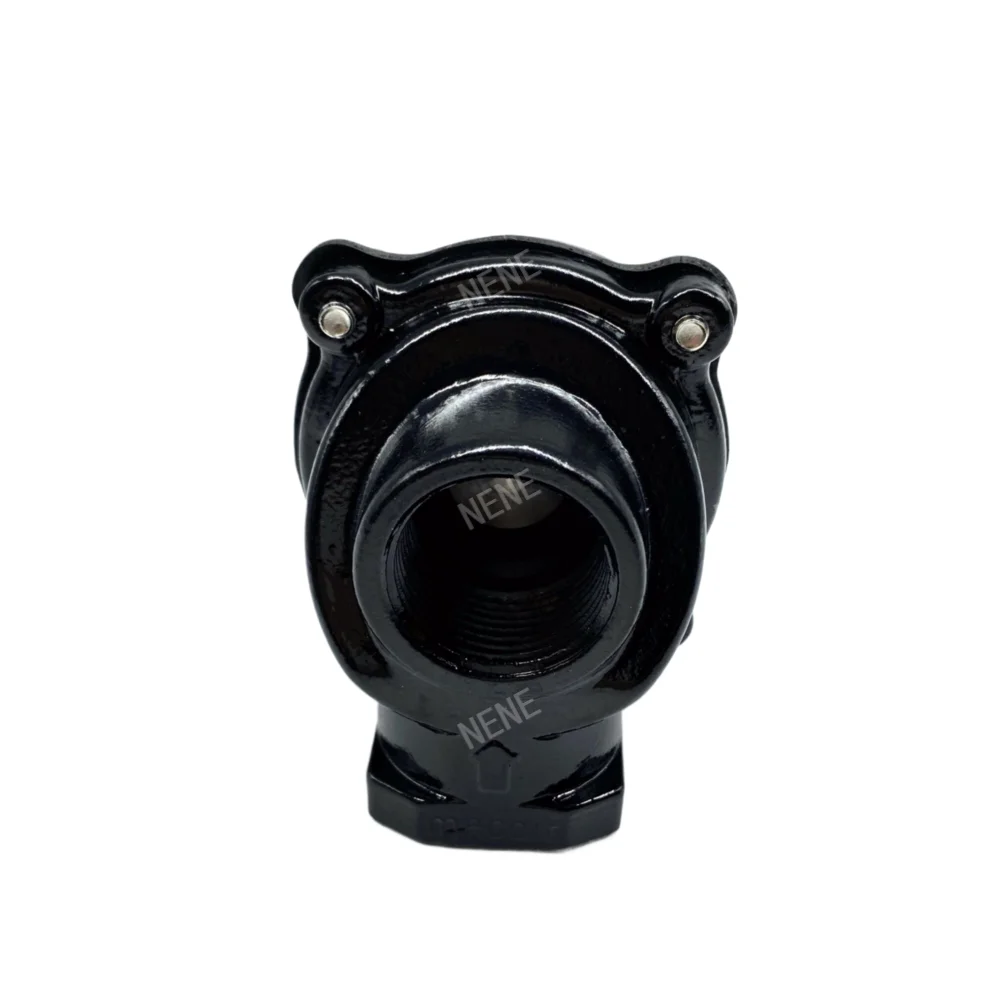 VNP208 MECAIR 1 Inch Mecair VNP208 Valves Diaphragm Valve Thread Connections  Pilot 1