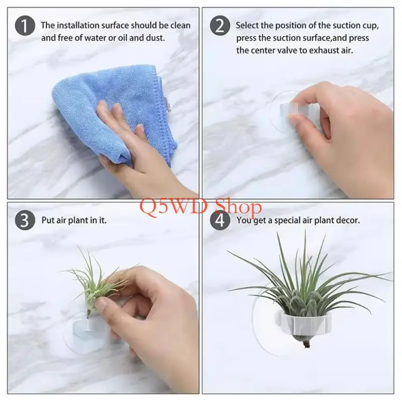 Q5WD Set of 20 Suction Cup Plant Mounts Clips for Tillandsia Display Wall Decoration