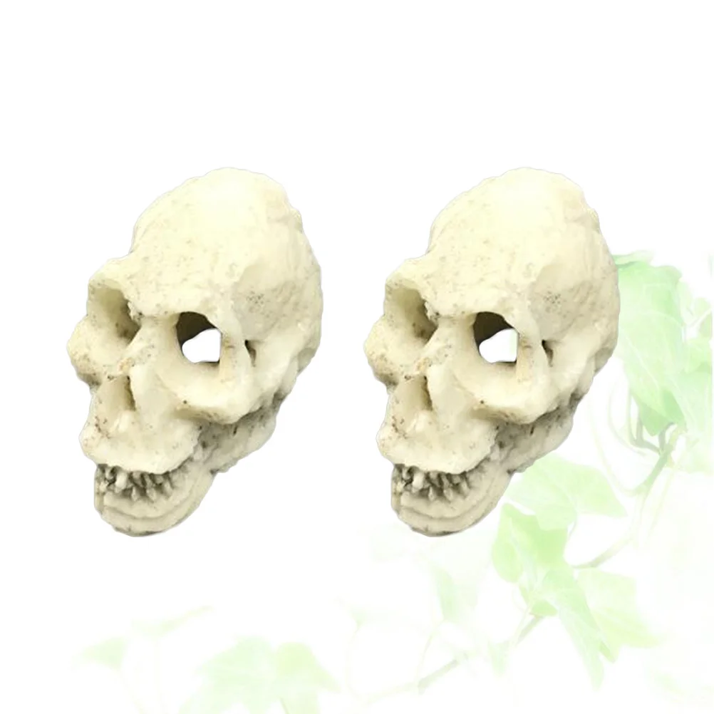 

2Pcs Realistic Human Skull Aquarium Ornament Odorless Resin Decoration for Fish Tank Terrarium Shelter Hiding Spot Play Area