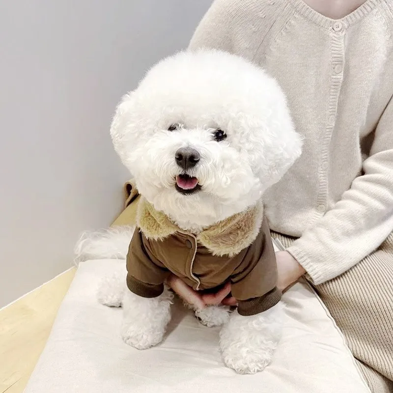 Mode Hund Unten Jacke Winter Warme Hund Kleidung Bär Druck Welpen Jacke Nette Weiche Katze Mantel Haustier Kostüme Französisch Bulldog Kleidung – Detail 10