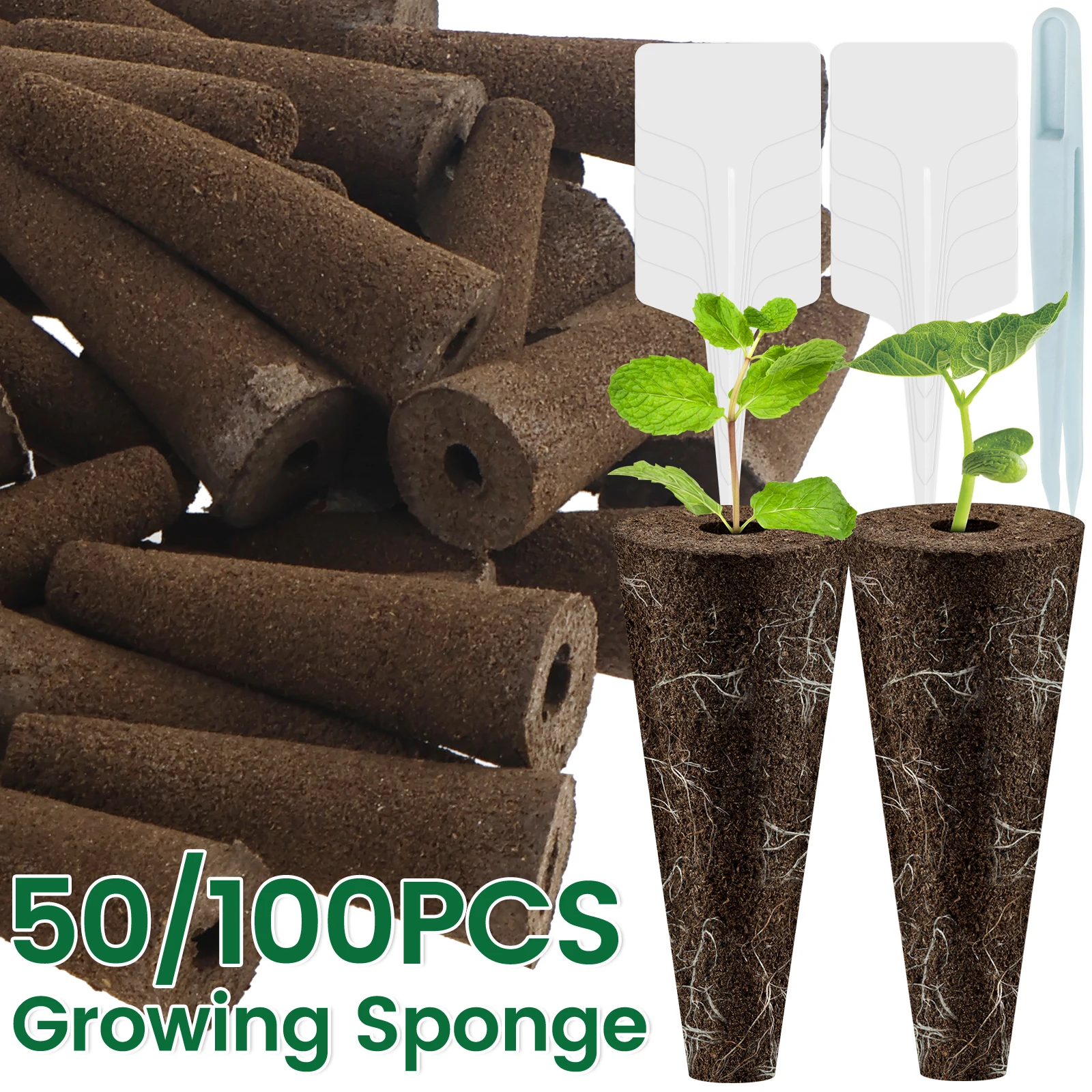 50/100 قطعة من إسفنجات النمو ل - مراجعة Plant Parent Kit وسعره