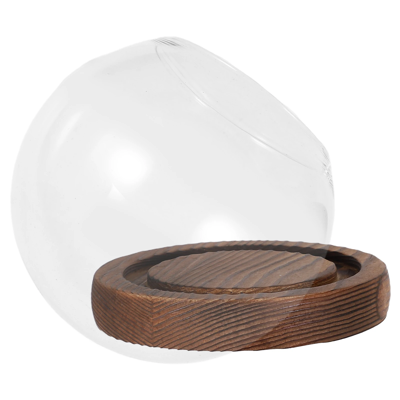 

Glass Flower Display Dome With Wood Base Crystal Clear Cloche For Preserved Flowers Dried Plant Showcase Wedding Bouquet