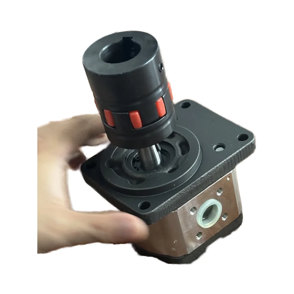 Customized Marine  Engine Hydraulic Pump High Pressure 180cm³ 30 1/4 Inch 0.5HP Hydro Brand New Hydraulic Pump