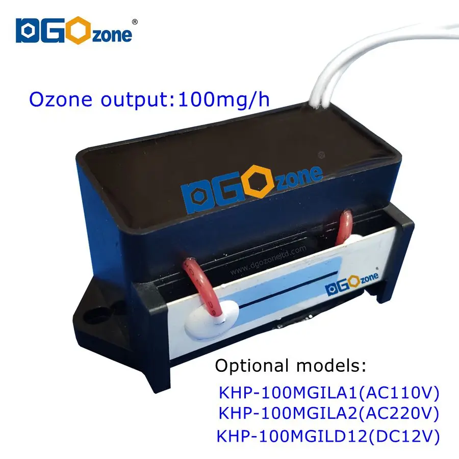 Integrated Ceramic Plate Ozone Generator 50MG 100MG 200MG 500MG for Air Purifying Purifier Ozonizer Manufacturer DGOzone