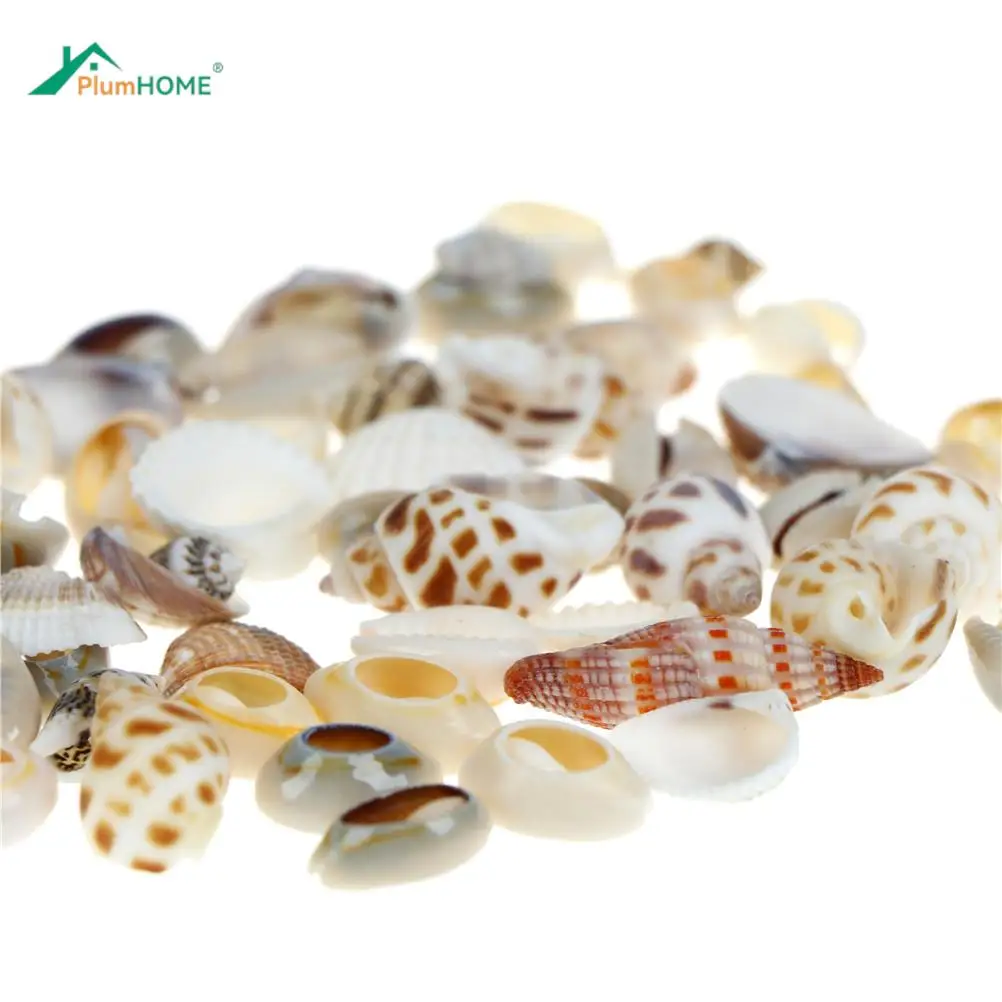 30 Gram Mix Natural Sea Shells Conch Coquillage Beach Decor Craft Diy Marine Style Fish Tank Seashells Conch Embellishment