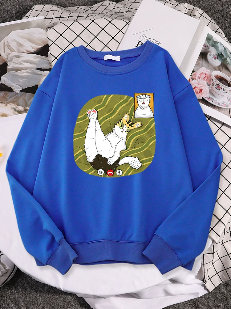 O gato no vídeo mostra sua bunda feminina com capuz diário camisola de manga cheia solta confortável pulôver macio crewneck esportiva