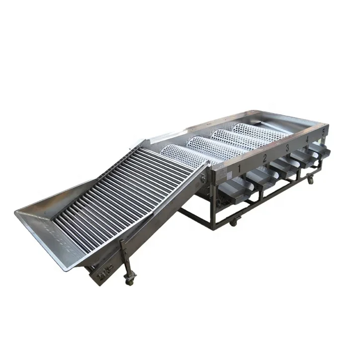 Commercial Stainless Steel Longan Orange Washing Waxing Drying And Grading Machine/Litchi Citrus Fruit Sorting Equipment