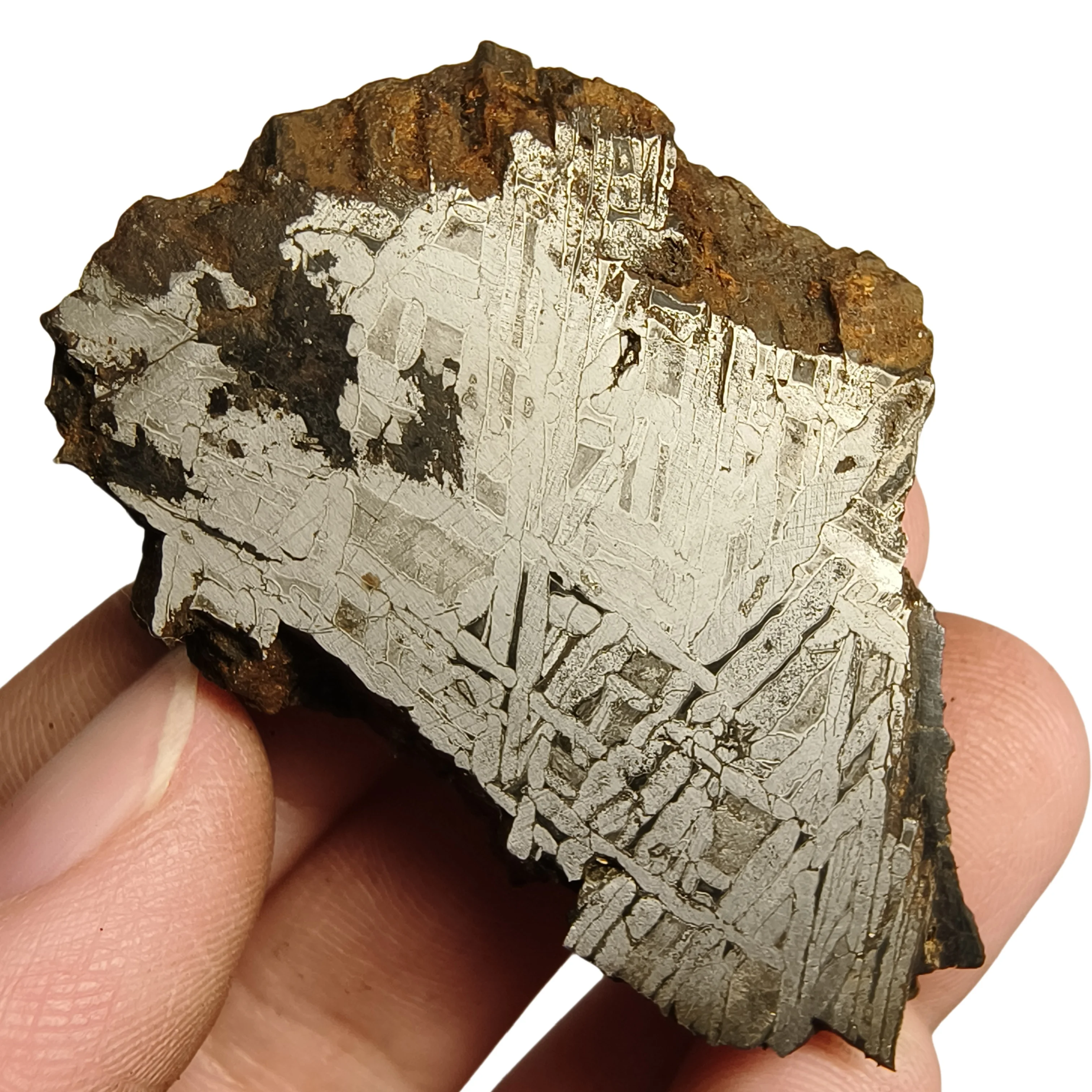 

41.7g Muonionalusta Natural iron meteorite specimen section Iron meteorite materials Meteorite Specimen Collection -QC802