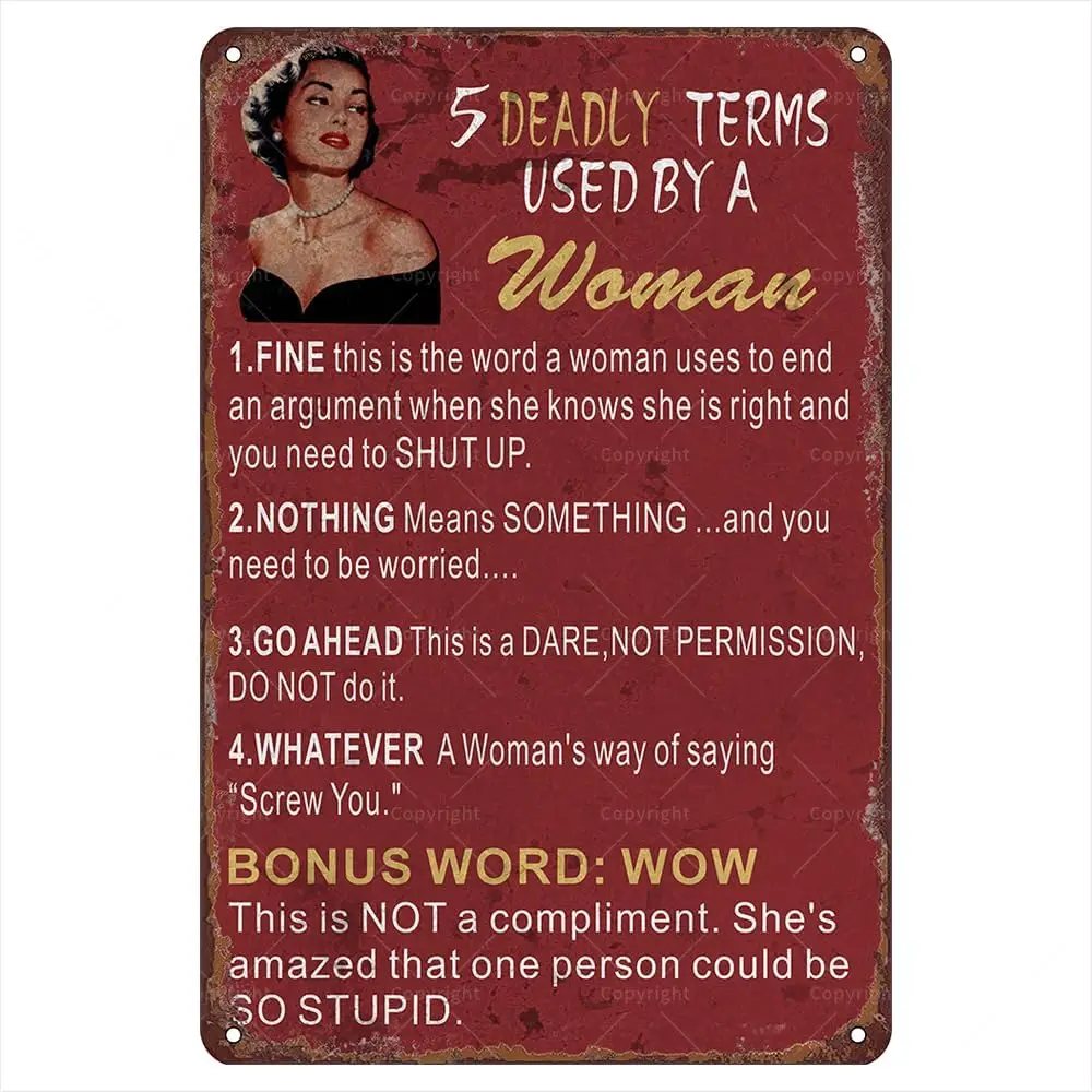 Retro Metal Tin Signs, 12 X 8, 5 Deadly Terms Used By A Woman Vintage Tin Sign, Funny Humorous Wall Art Interior Decoration For