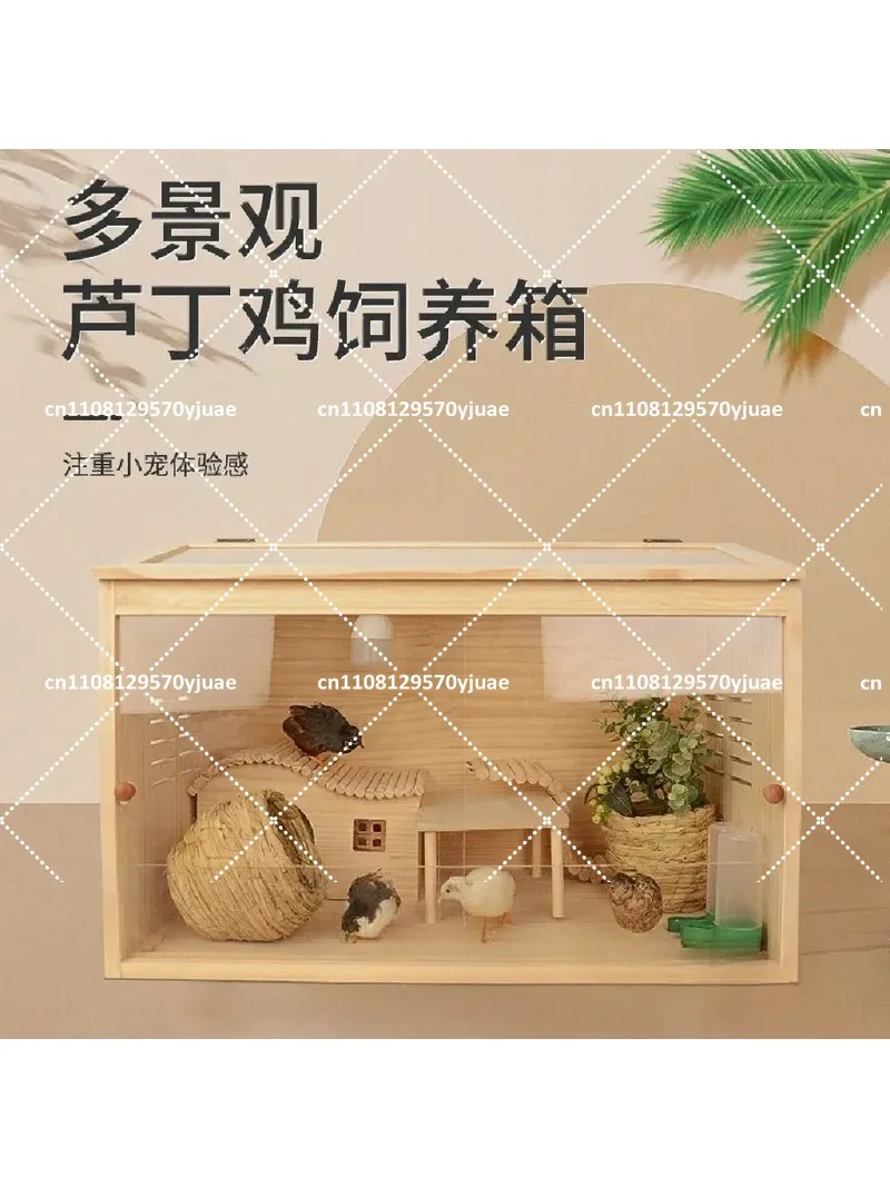Insulated Chicken Breeding Box, Pet Cage, Hamster Brooding House Complete Setup