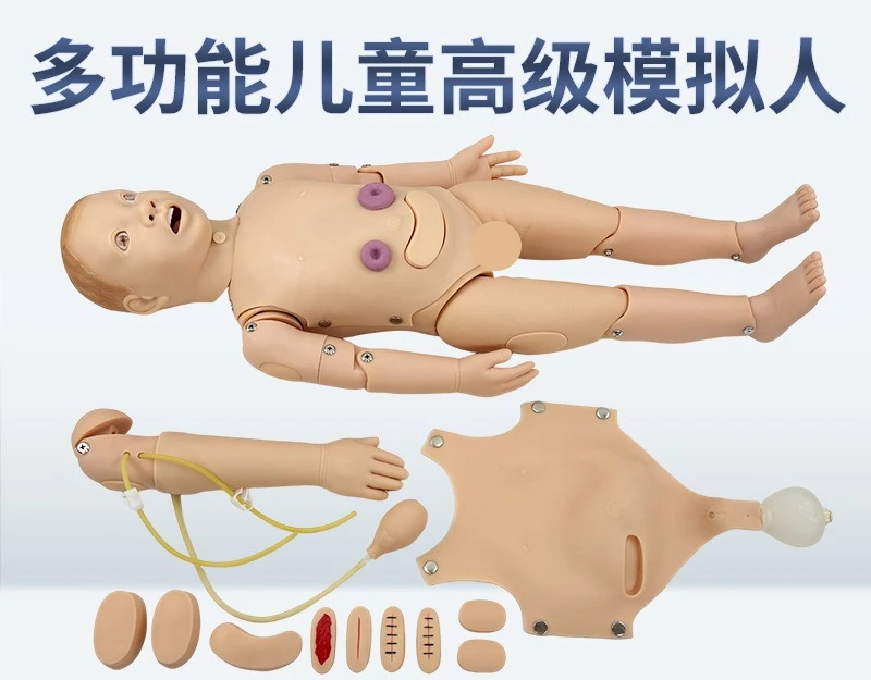 

CPR simulation model of fully functional neonates