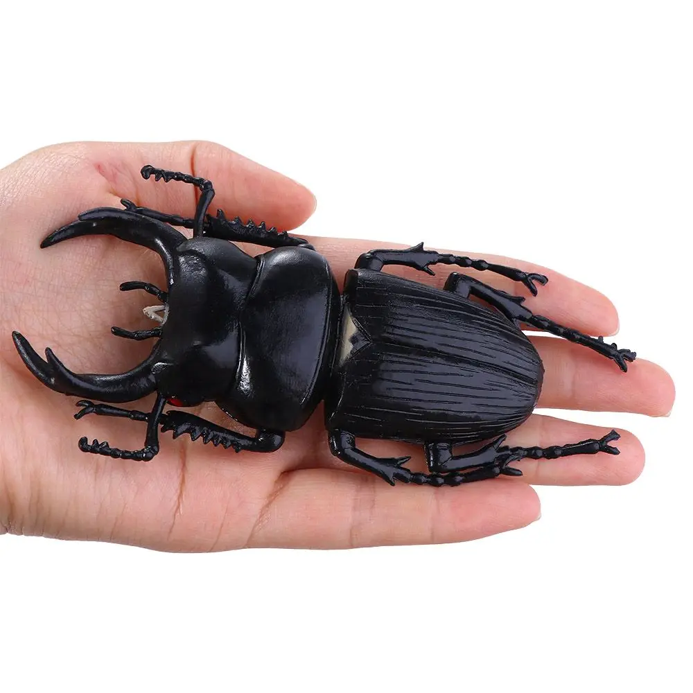 Beetle Figures Joke  Insect  Simulation Animals Special Lifelike Model Simulation Beetle Beetle  Insect Model