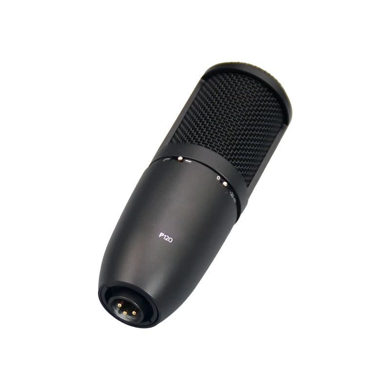 P120 Portable Noise Cancelling XLR Condenser Mic for Broadcast, Blogging, Gaming, Podcasting, Live Streaming - Wired, Boxed