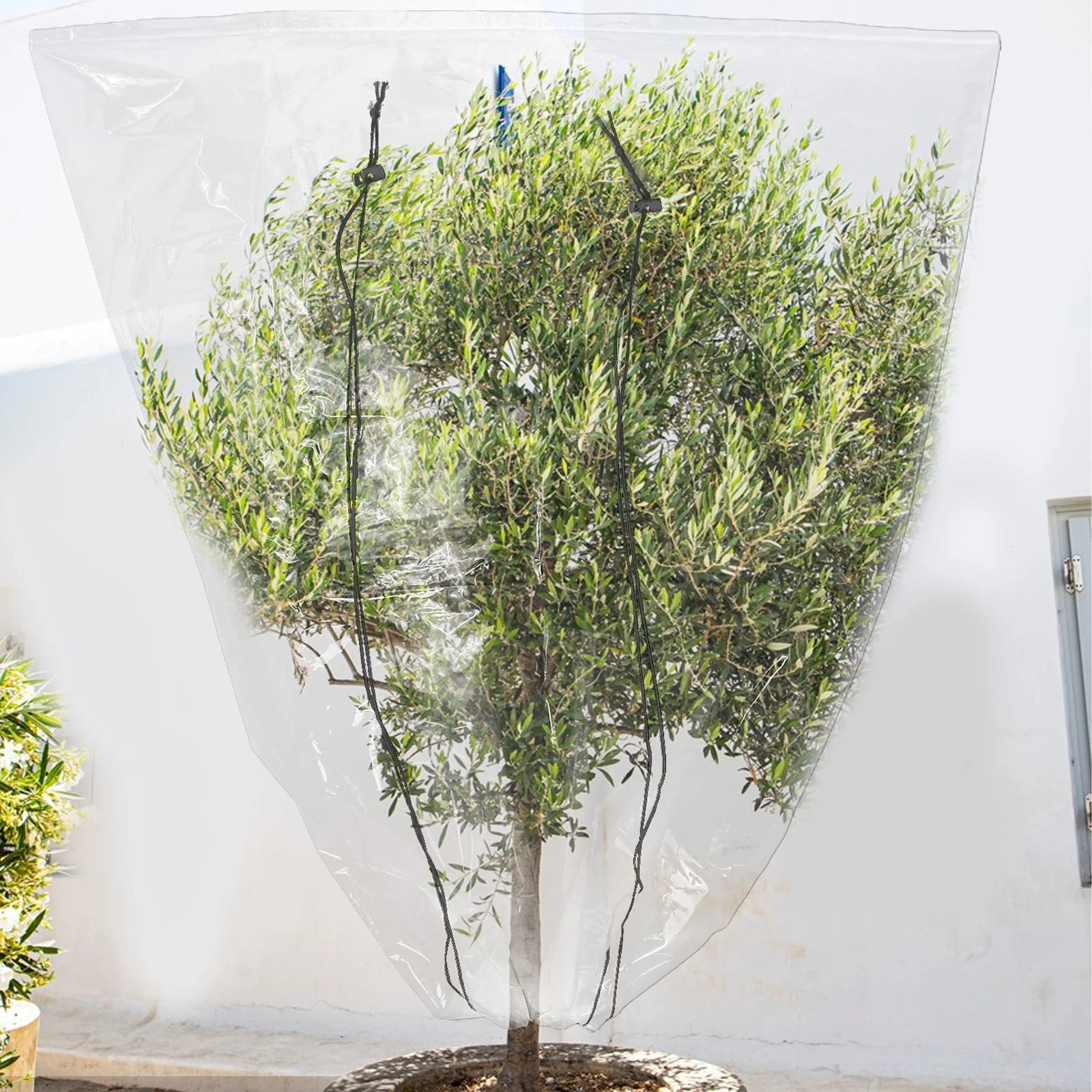 

Durable Reusable Plant Cover Transparent Garden Frost Protection Bag Weather Resistant Pe Material Extend Growing Season Outdoor