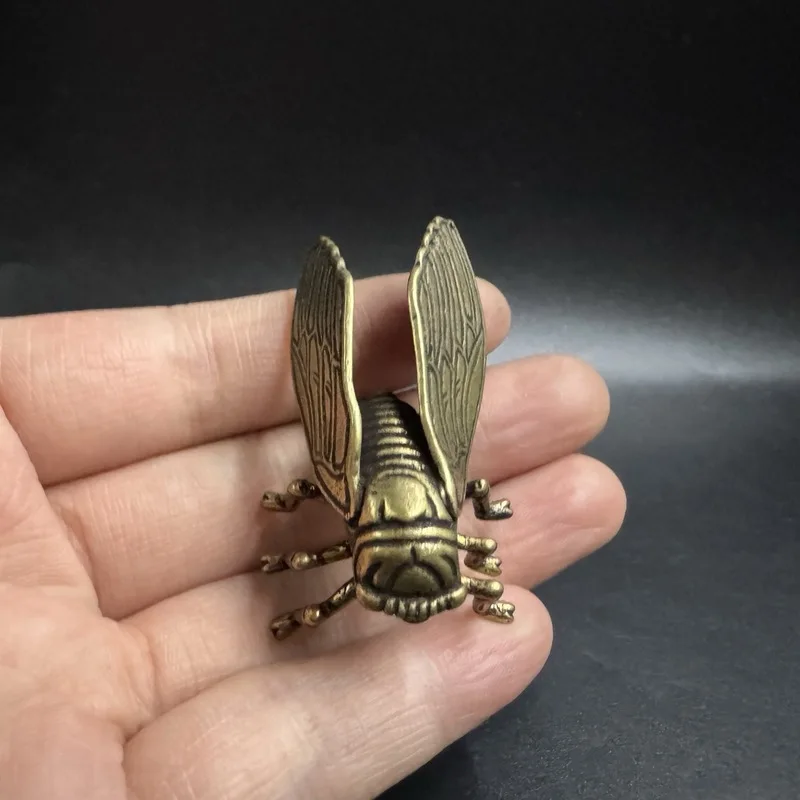 Brass cicada, golden cicada, cicada that impresses immediately, pendant, decorative item, gift, copper craft, small ornament, an