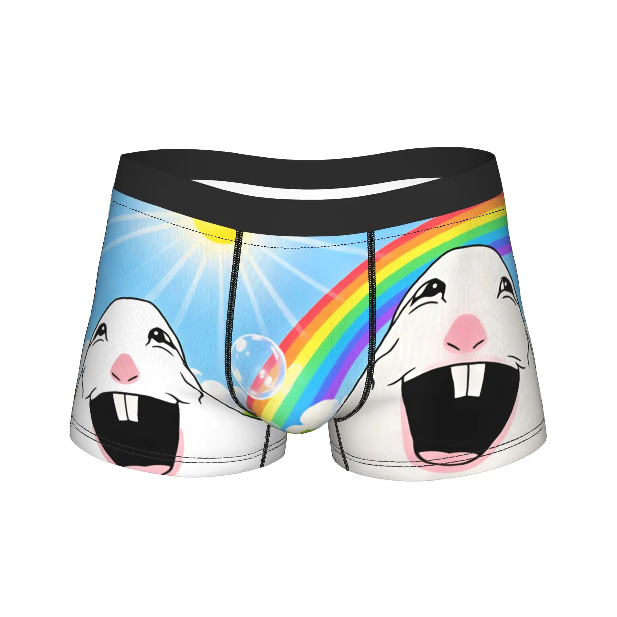 Funny Happy Hamster Creature Rainbow Sunshine Meme Underwear  Classic Underpants Custom DIY Shorts Briefs Pouch Large Size Trunk