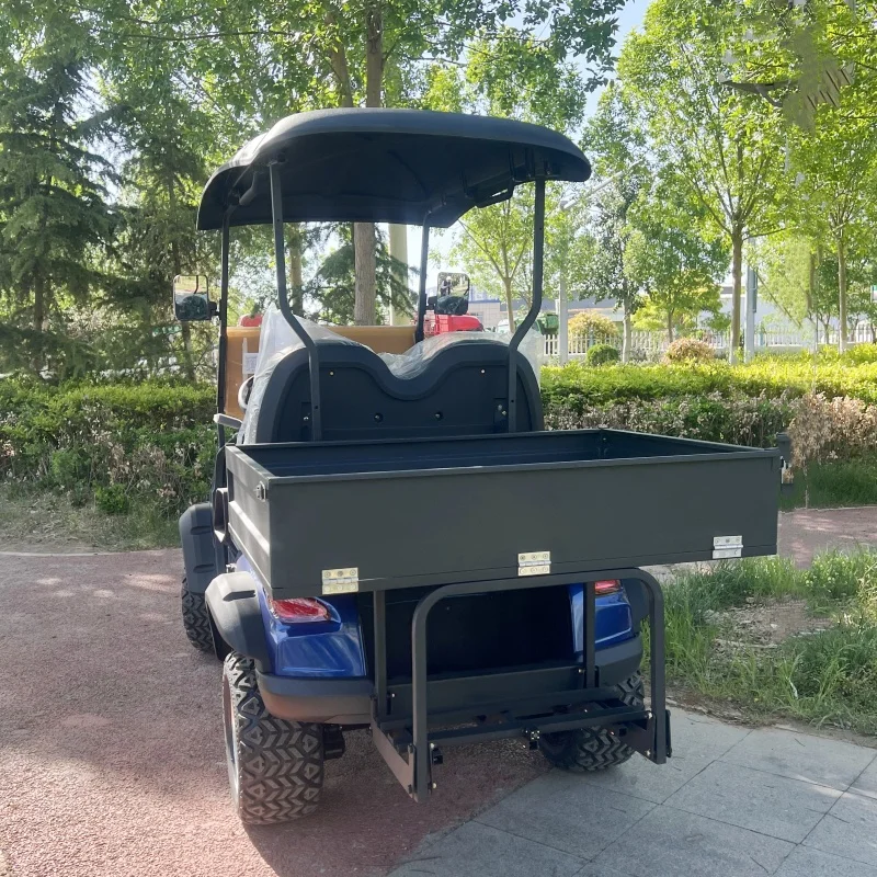 Custom 2 Seater Electric Car 5000w Motor Electric Golf Cart Hotel Utility Buggy Car Housekeeping Car