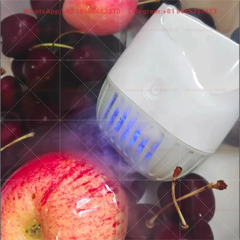 Wireless Dual-Compartment Fruit Vegetable Cleaner Portable Automatic Food Purifier Home Use for Fruit Meat Tableware Cleaning