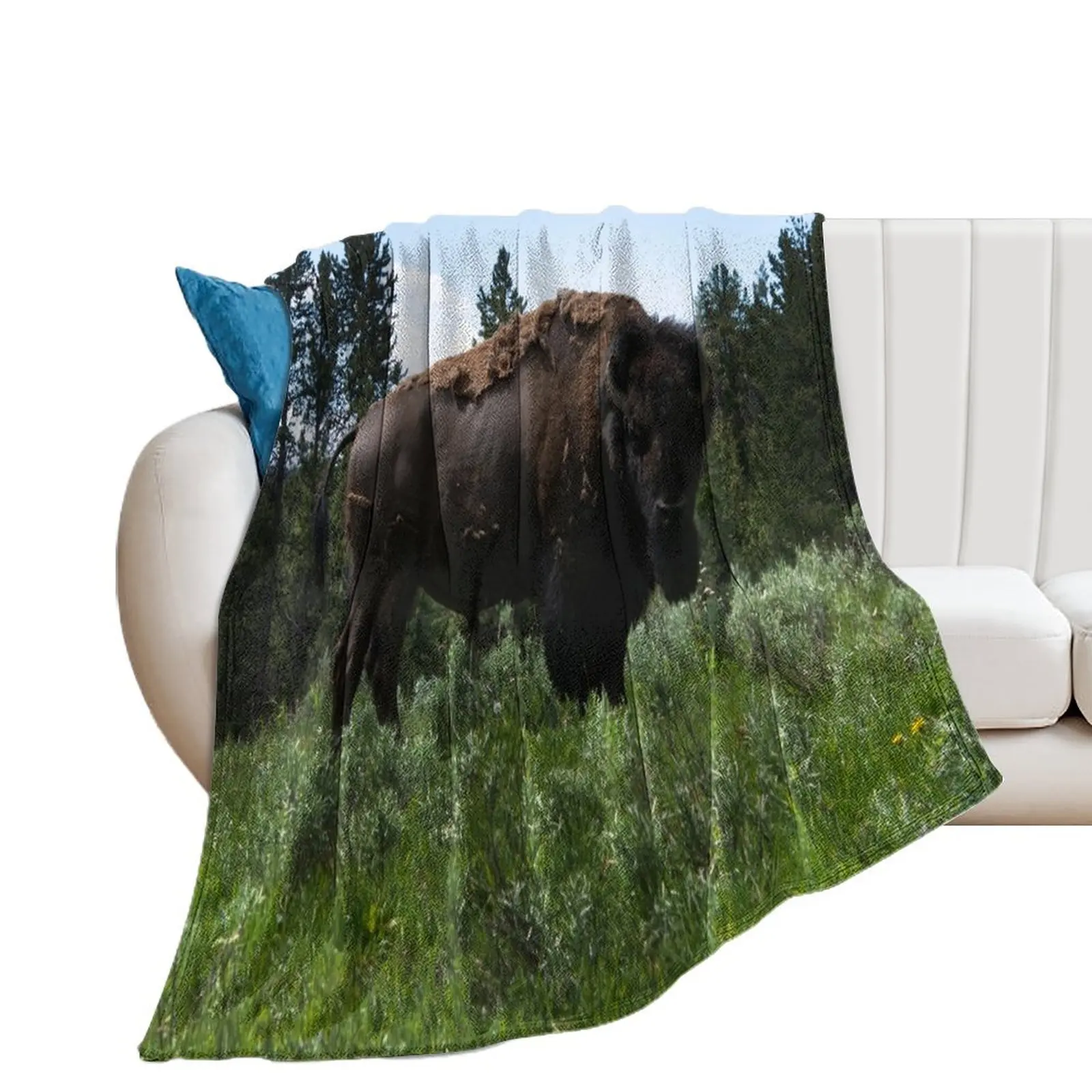 Buffalo Stare Down Throw Blanket Luxury St For Sofa Thin Plaid on the sofa Blankets