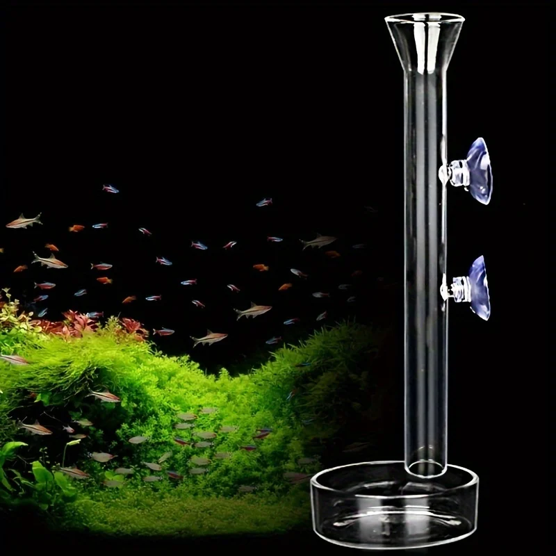 Juego de plato para camarones y tubo de alimentación de vidrio para acuario, alimentador de vidrio de borosilicato en forma de campana para camarones rojos de cristal, plantas acuáticas
