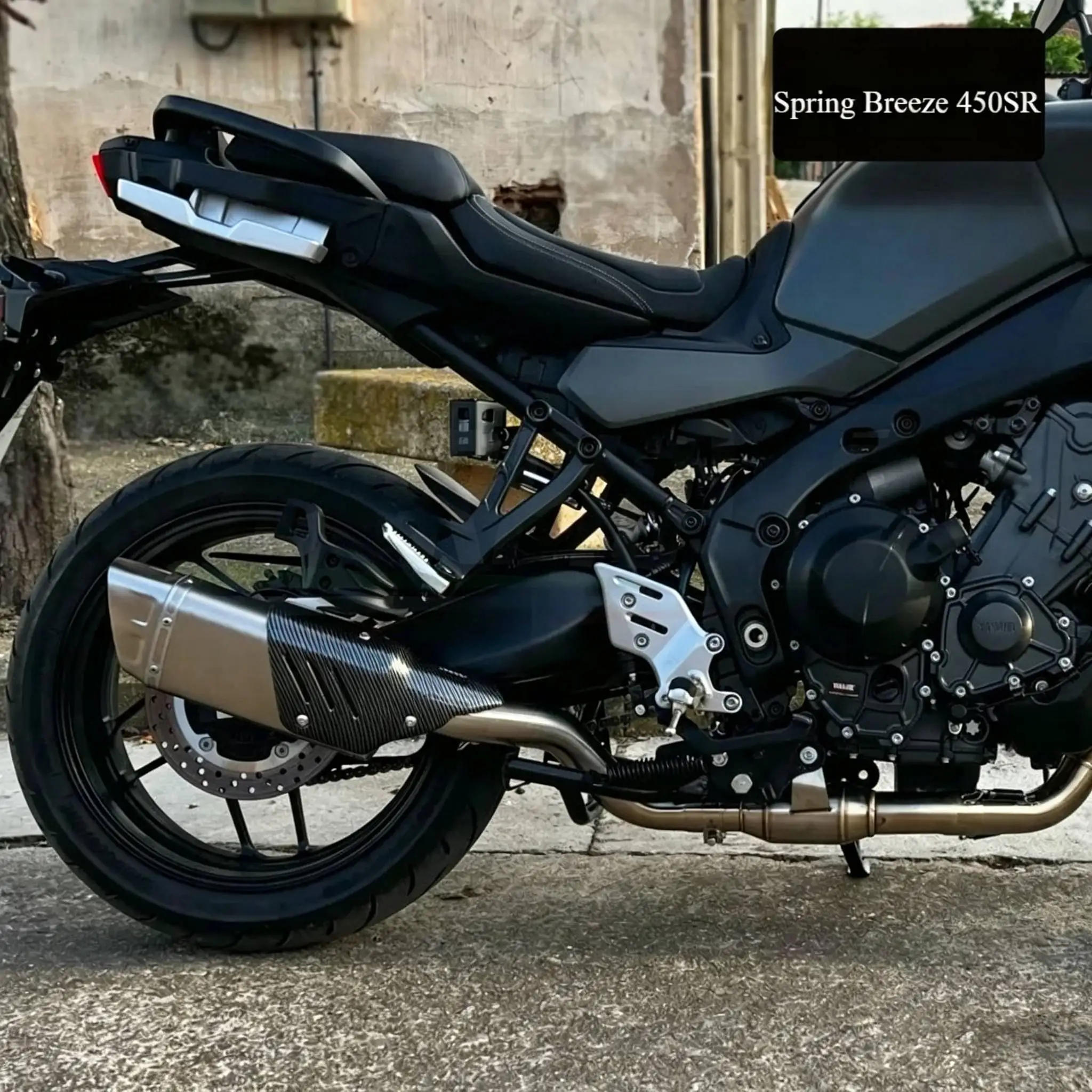 Imitation Carbon Fiber Exhaust Tail Section Cover Slanted Triangle Quadrilateral Guard for Z900 Z400 R3 CFMOTO 450SR