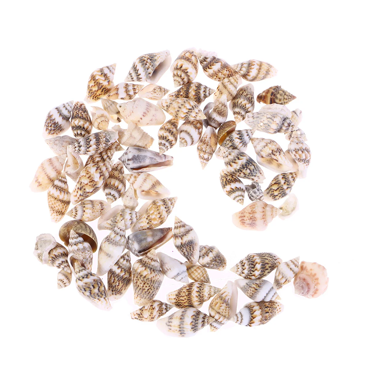 

50Pcs Natural Seashells Set Vivid Dark Teal Colorful Conch Shells for Home Decoration Fish Tank Aquarium Crafts DIY