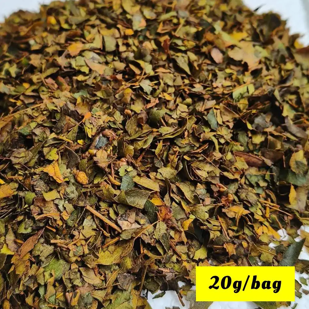 Modèle de feuilles tombantes miniatures, bricolage, feuilles d'arbre réalistes pour miniature de base/marteau de guerre/marque/paysage de jardin 20 g/sac