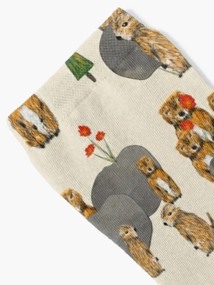 Cute and Quirky Marmots Socks christmas gift designer brand Men Socks Luxury Brand Women's