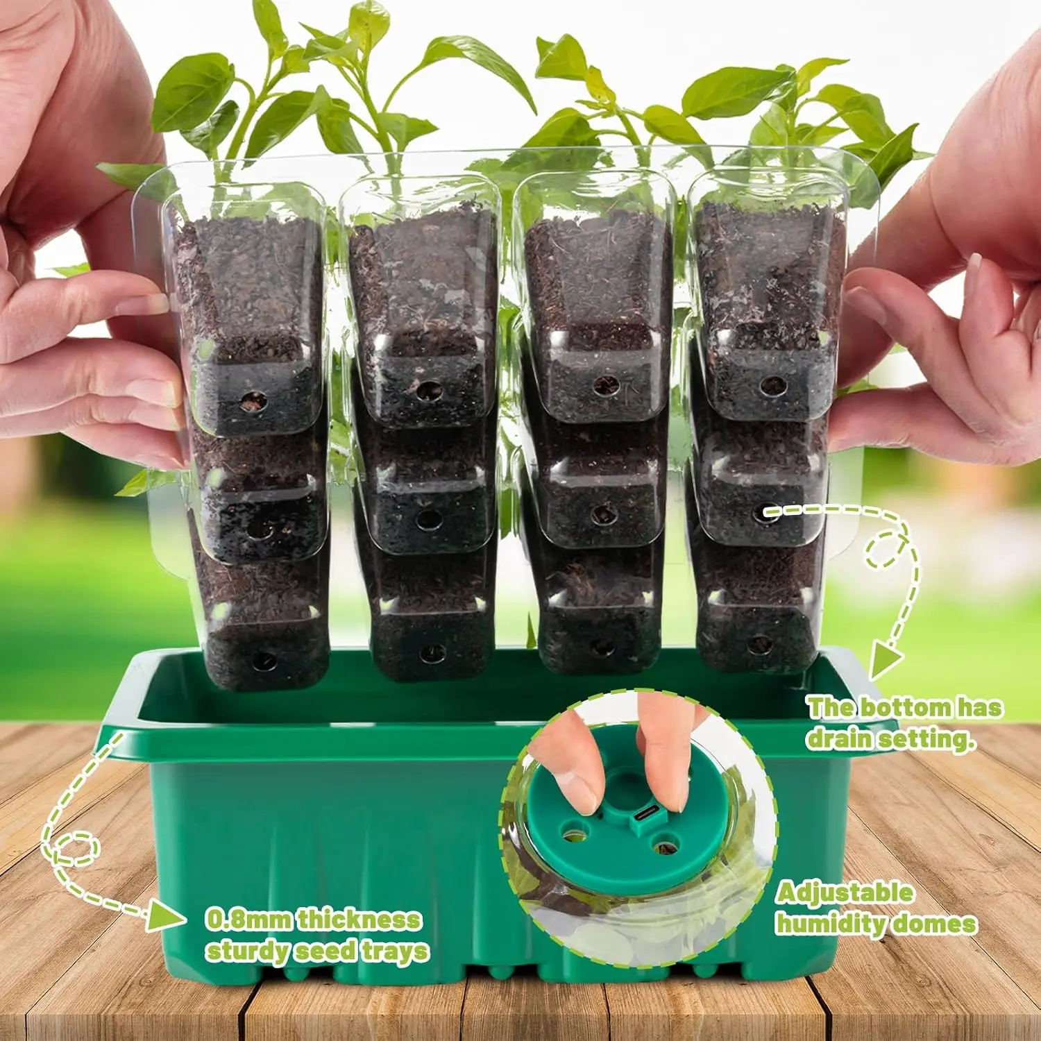 Anzuchtschale mit Wachstumslicht, 2er-Pack Saatgutkeimungs-Set, verstellbare Feuchtigkeitskuppel, Anzuchtschale für den Innenbereich – Detail 2
