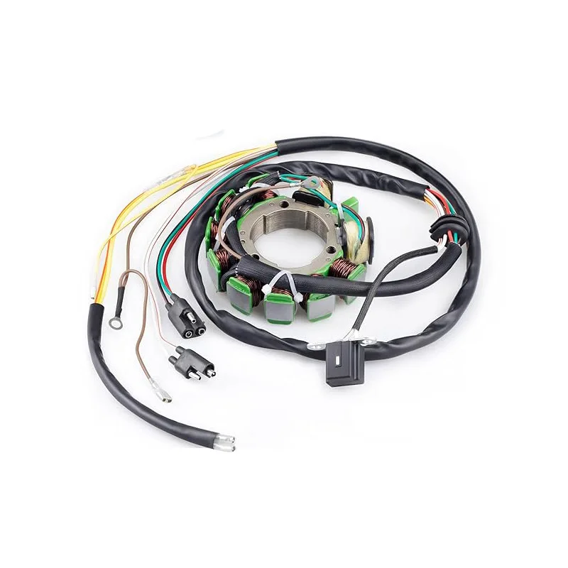 

Motorcycle Accessories Stator Coil 3085561 3086821