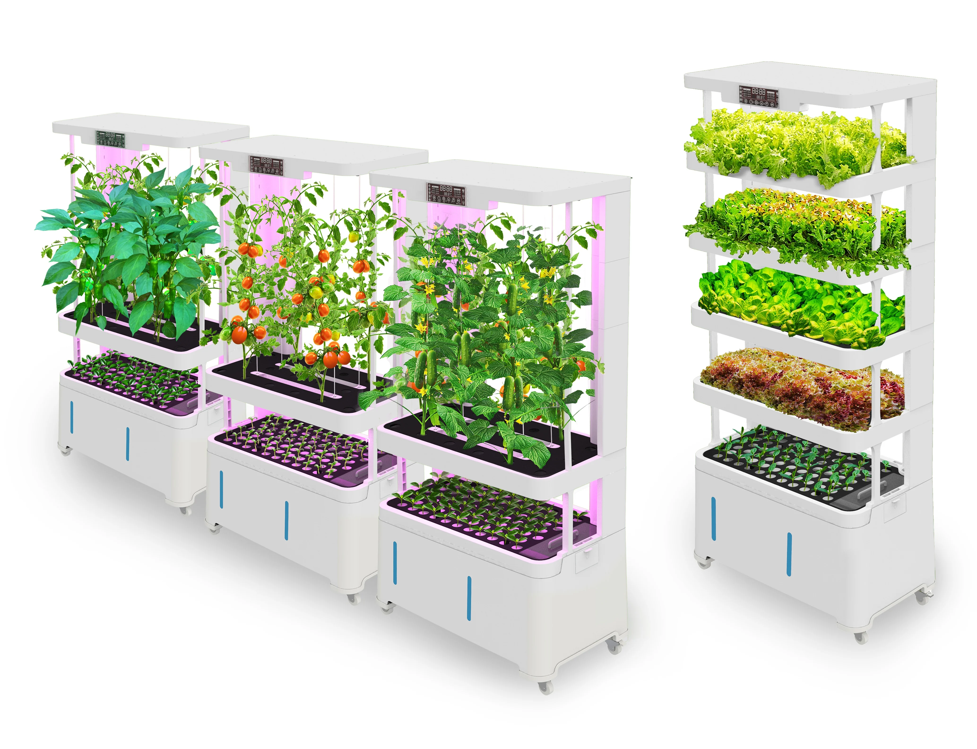 Indoor Vertical Growing System - Hydroponic System ulasan dan harga