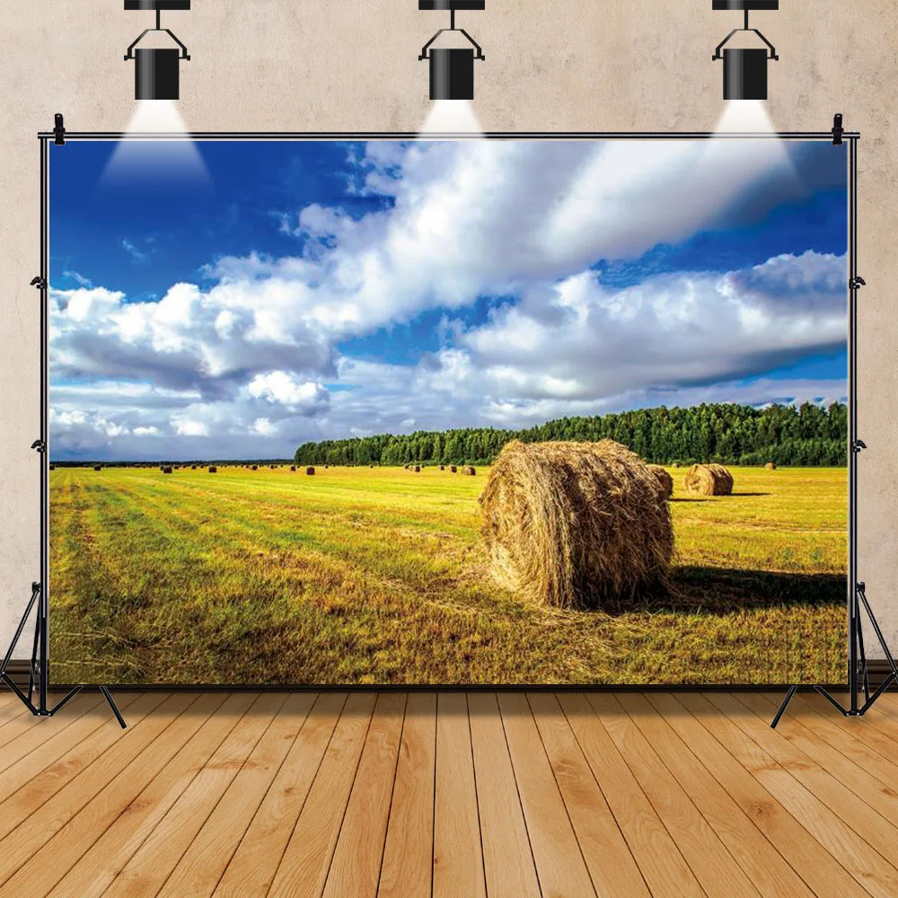 Laeacco Sunlight Rural Wheat Fields Hay Bale Harvest Portrait Scene Photography Backdrops Photo Backgrounds Studio Photocall