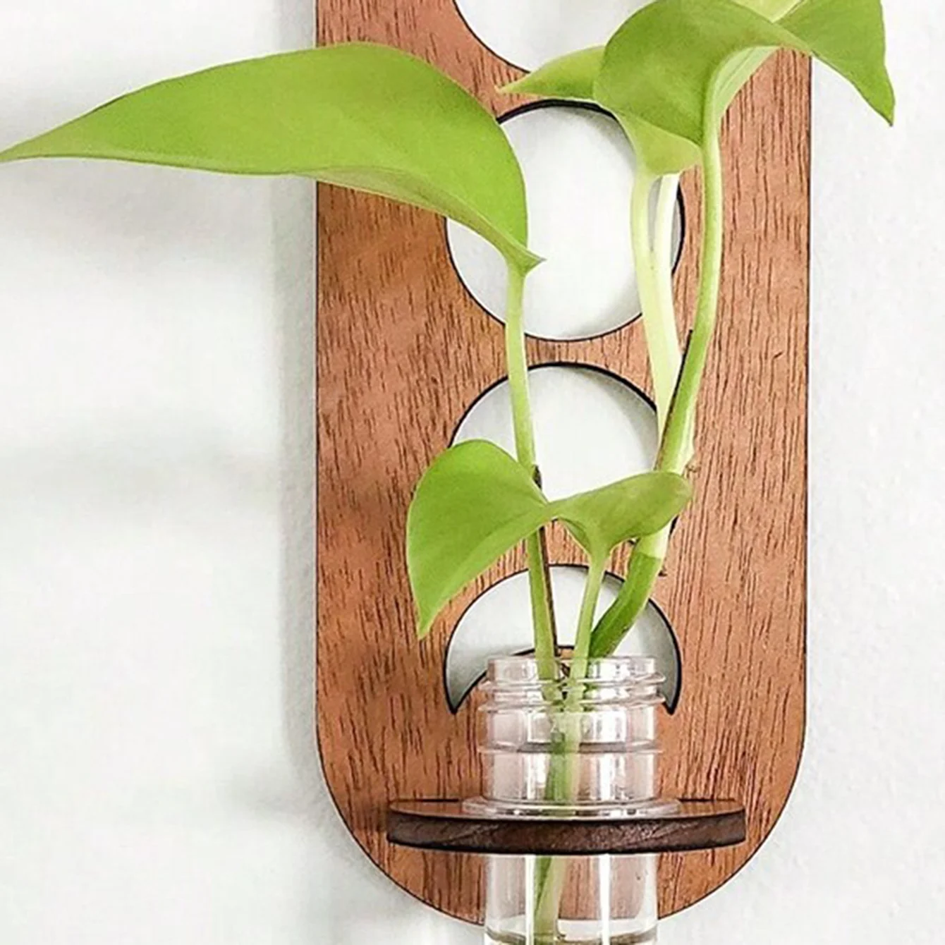 Plant Propagation Station Wall Hanging Wooden Moon Phase Plant Terrarium for Hydroponics Home Office Decor Air Plant Holder Gift