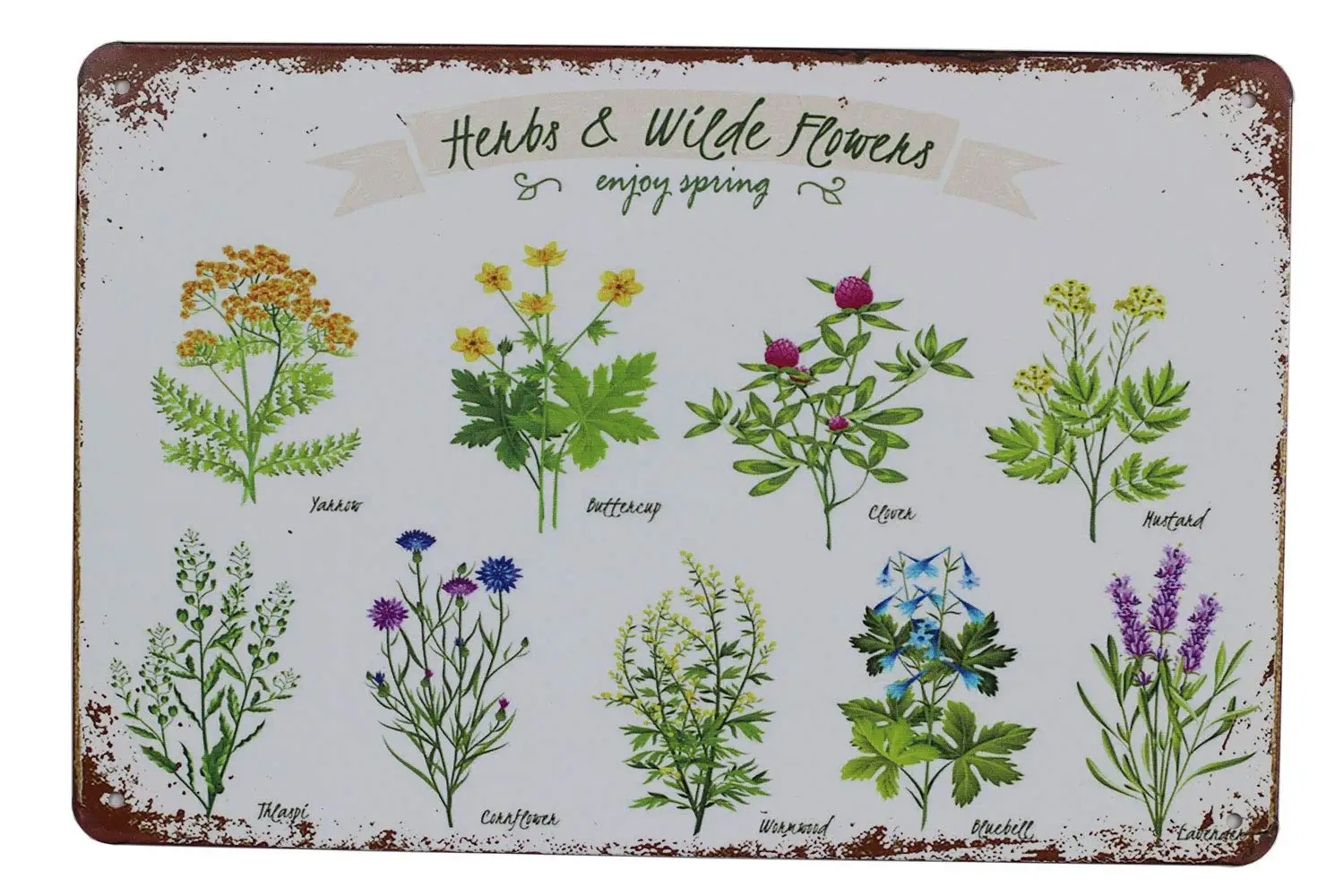 SUMIK Wildflowers Herbs Florals Botanical, Metal Tin Sign, Vintage Art Poster Plaque Living Room Bedroom Home Wall Decor