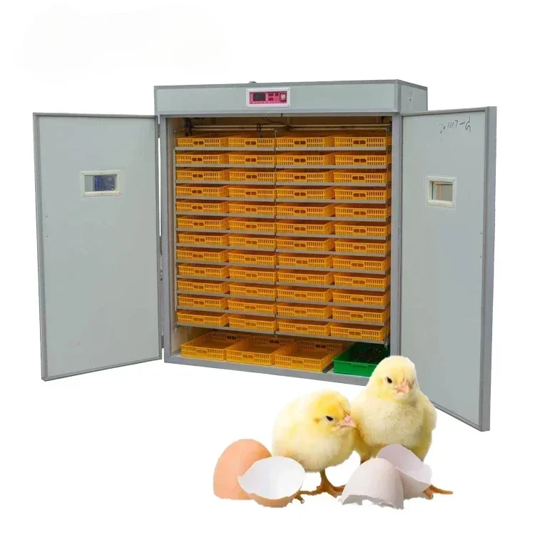 U-BEST 6000 Eggs Large Sized Incubator Hatching Eggs For Poultry