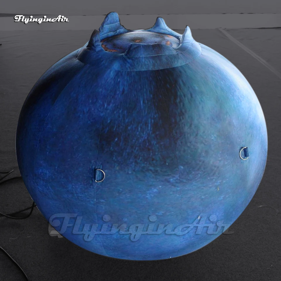 Wonderful Large Inflatable Blueberry/Bilberry Dark Blue Fruit Balloon For Event