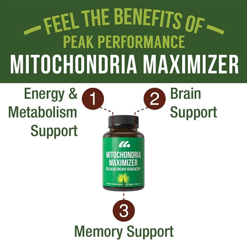 Mitochondrial maximizing agents contain coenzyme Q10 and active PQQ. Containing medium chain triglyceride oil, 60 capsules